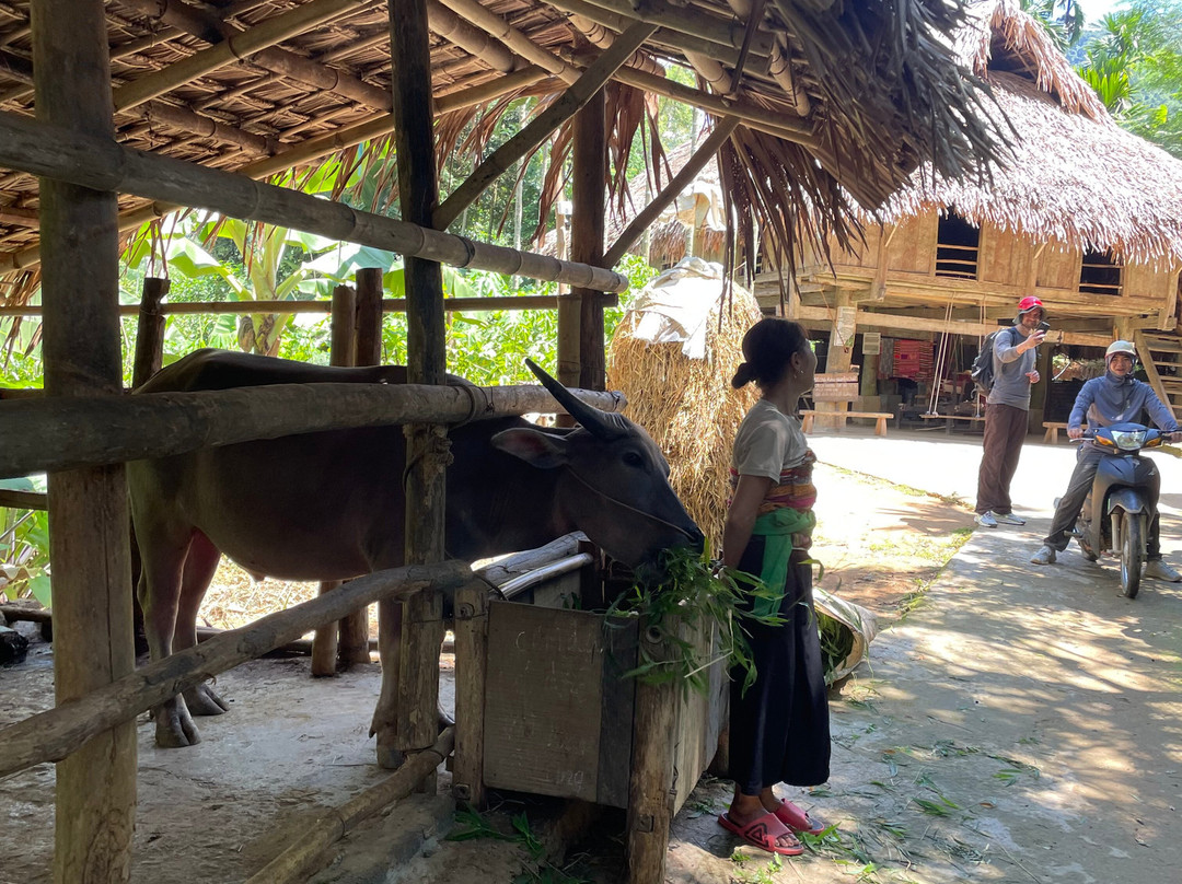 Pu Luong Ancient Stilt House-清化必去景点