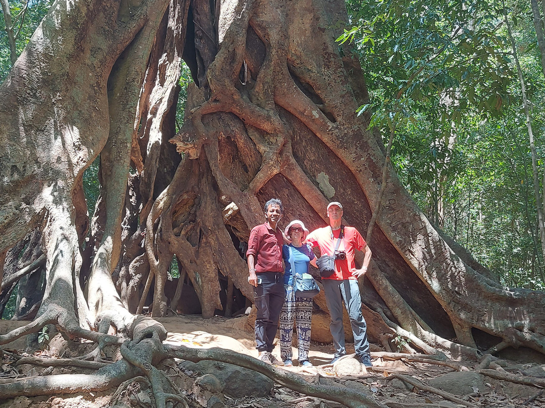 Ceylon Safari Holiday-Ratmalana必去景点