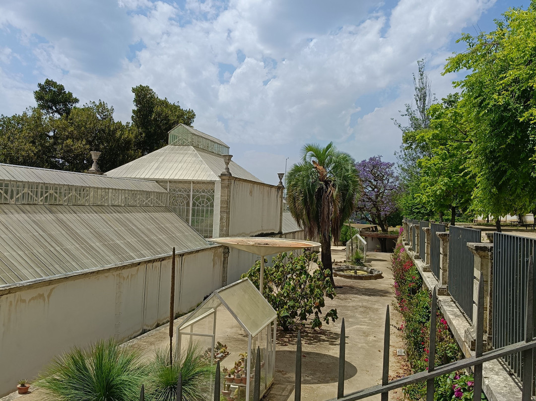 Jardim Botanico-科英布拉区必去景点