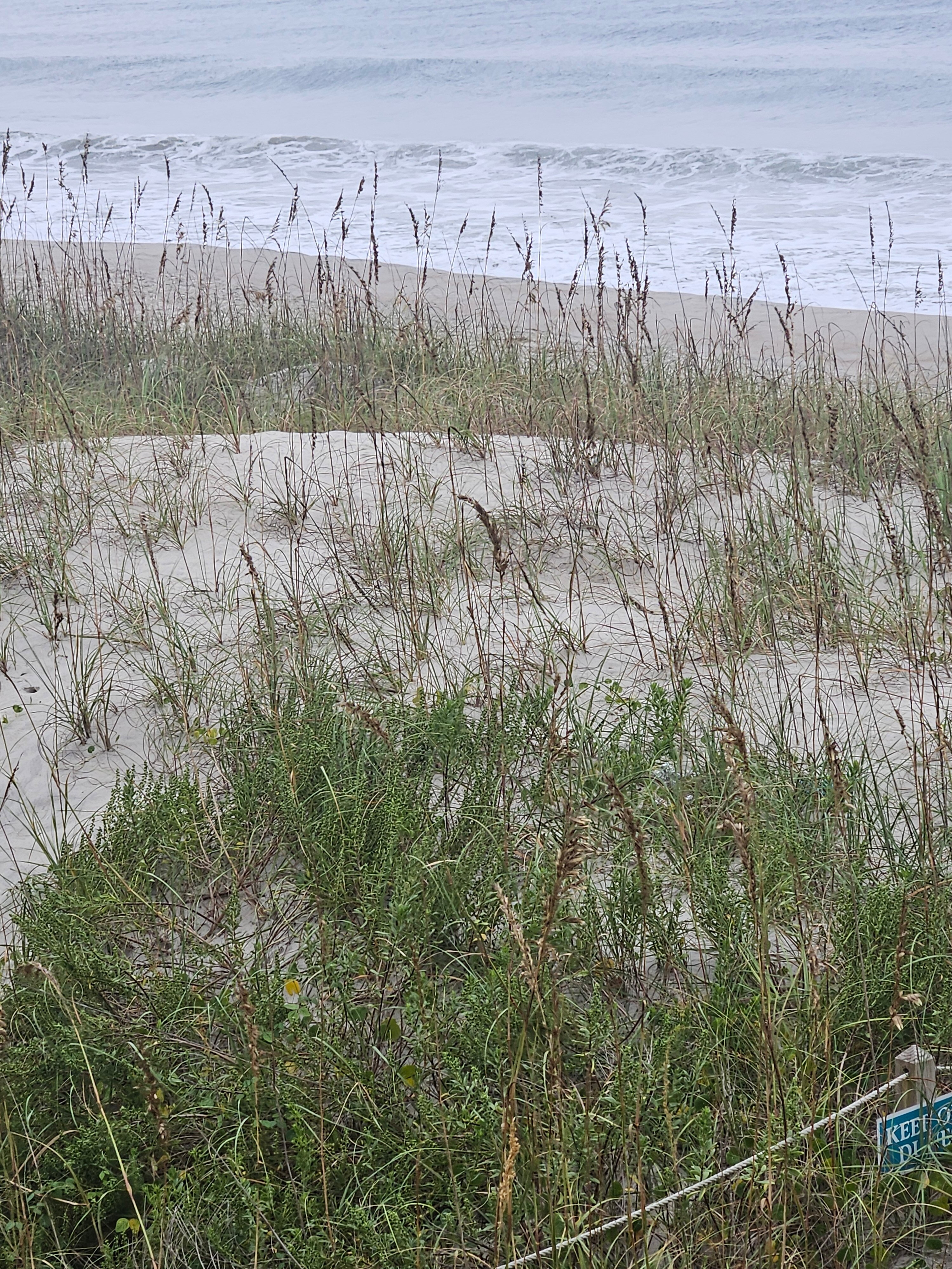 Whaler Inn Beach Club-官方