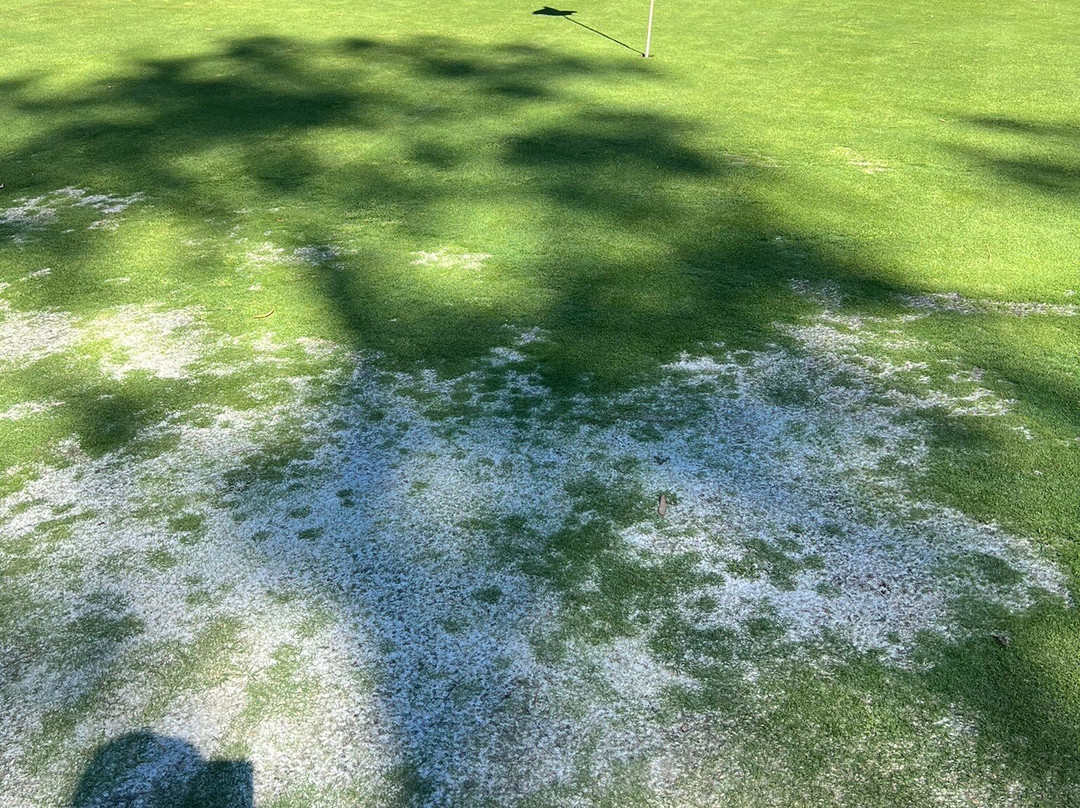 Pinheiros Altos-阿尔加威必去景点