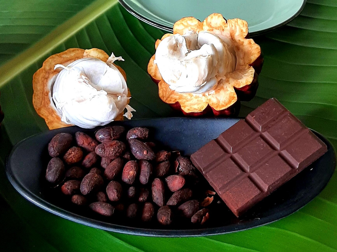 Moris Otreman-路易士港必去景点