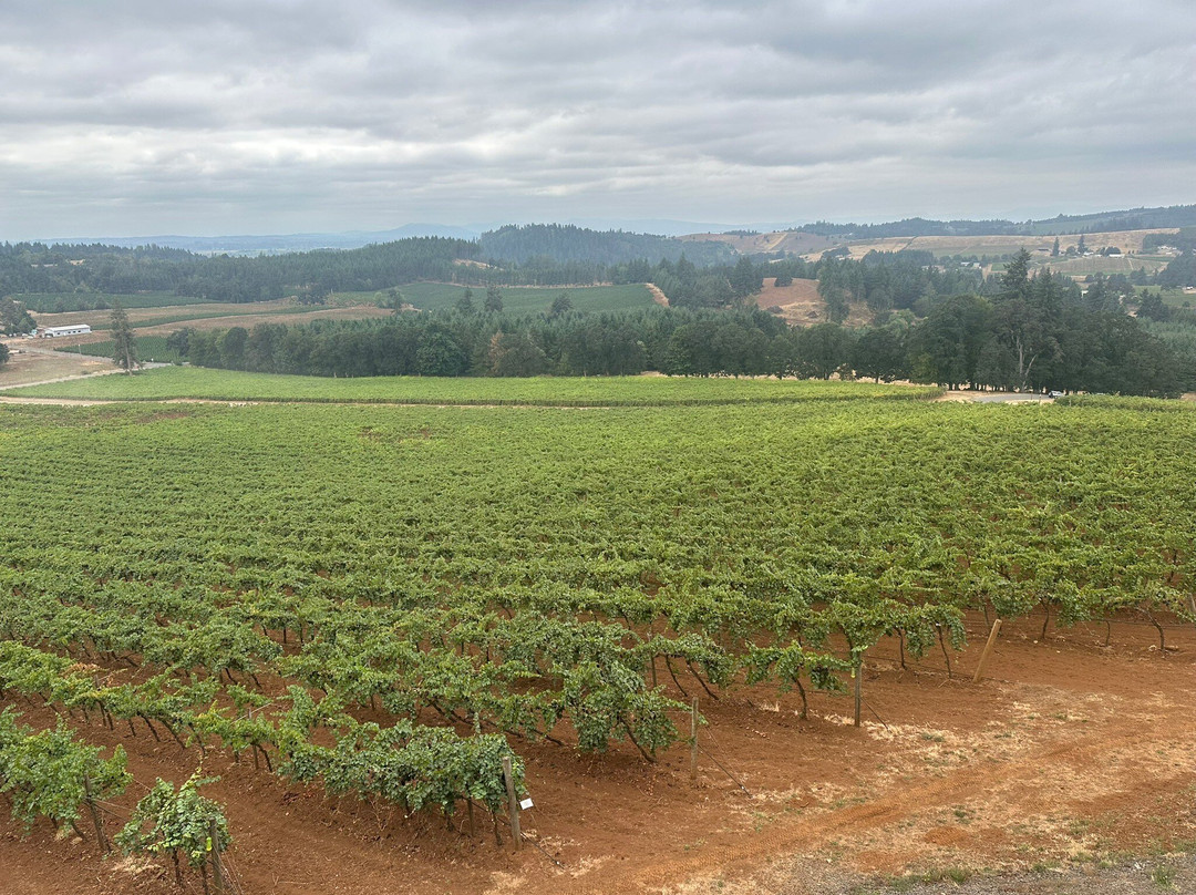 Willamette Valley Vineyards-Turner必去景点