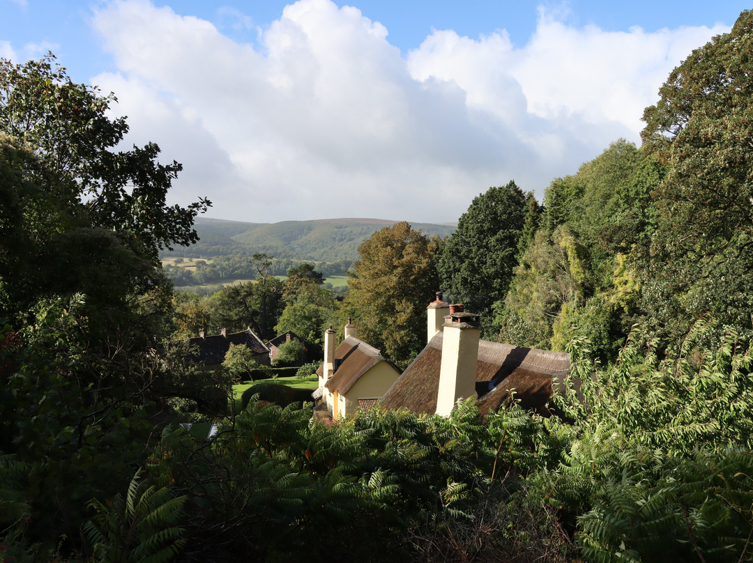 Selworthy Green-Selworthy必去景点