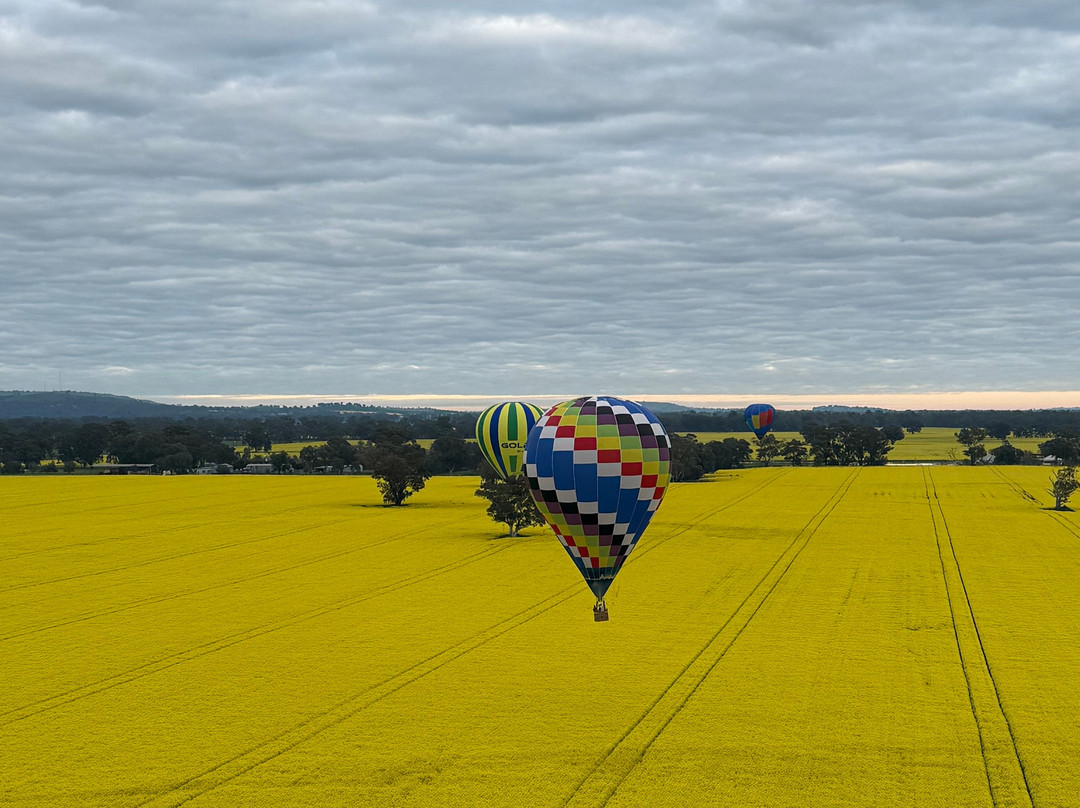 Goldrush Ballooning King Valley-King Valley必去景点