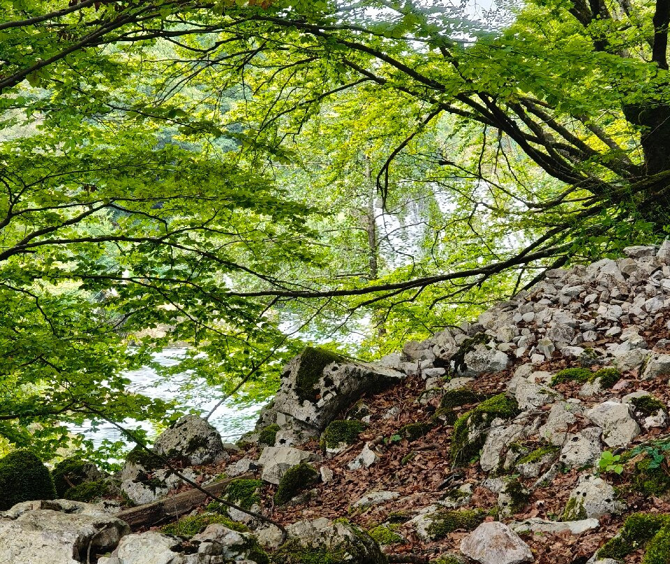 Una Mamea Park-Donji Lapac必去景点