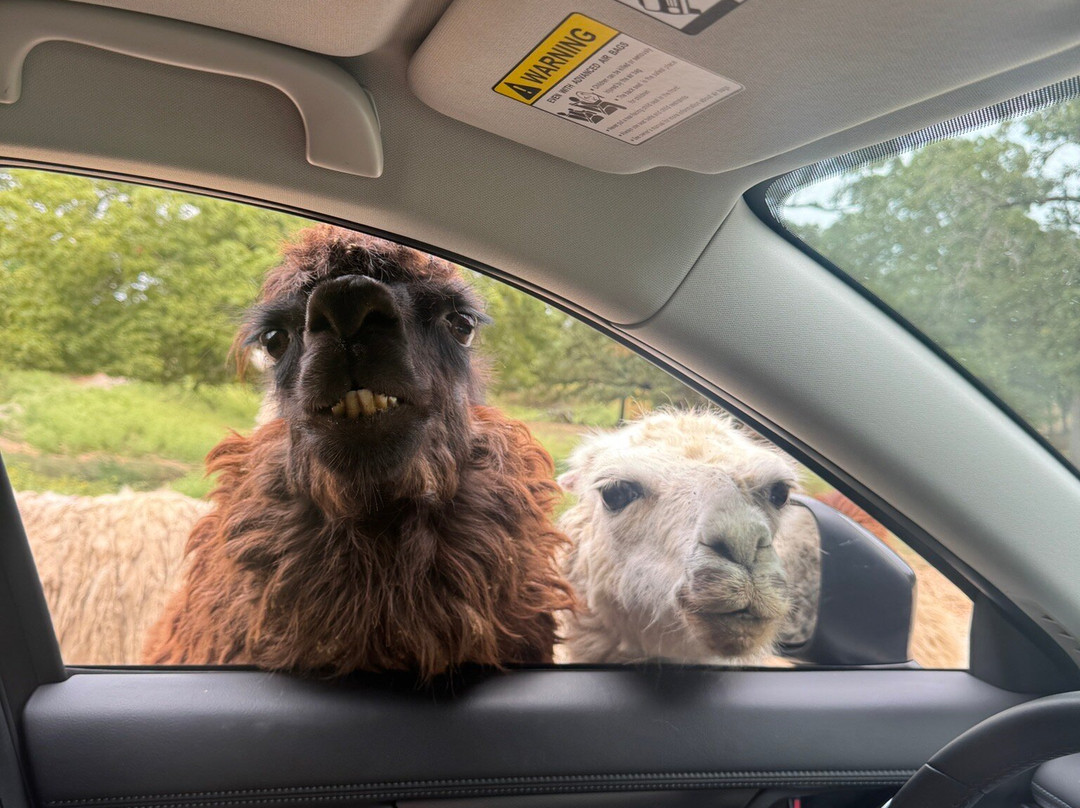 Arbuckle Wilderness-Davis必去景点