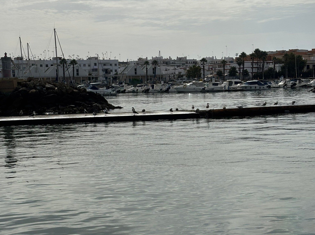 Excursiones Maritimas Isleñas Isla Canela-韦尔瓦必去景点