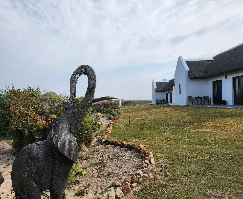 Draaihoek Lodge & Restaurant主图