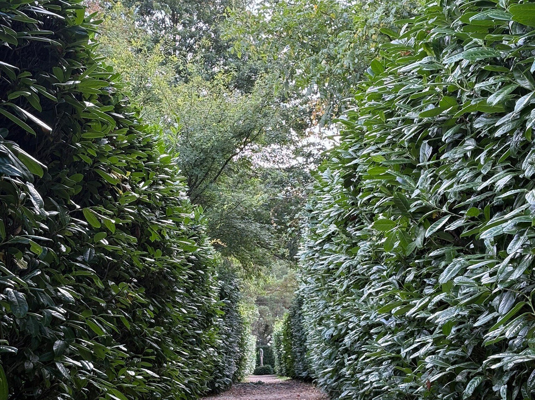 Nymans Gardens and House-Haywards Heath必去景点