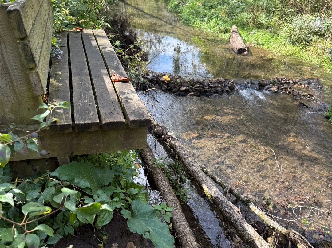 Whitewater State Park-Altura必去景点