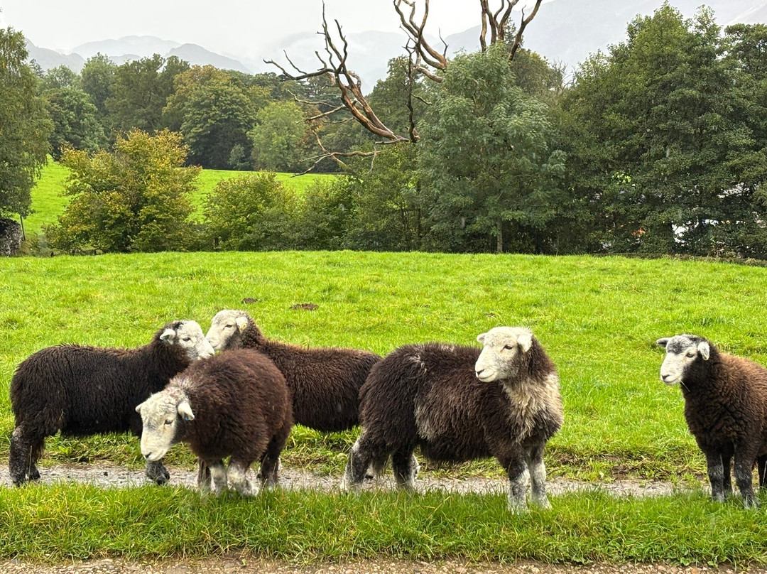 Springs Farm Guesthouse主图