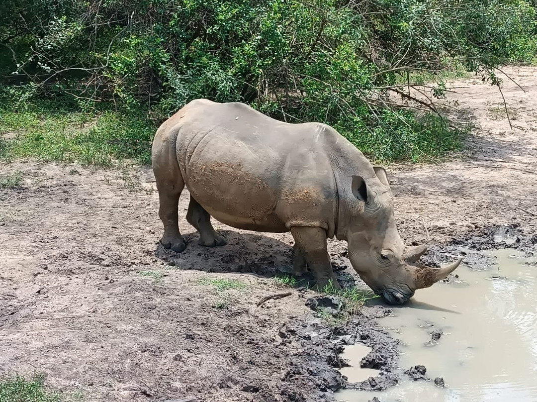 Mamaland Safaris-坎帕拉必去景点