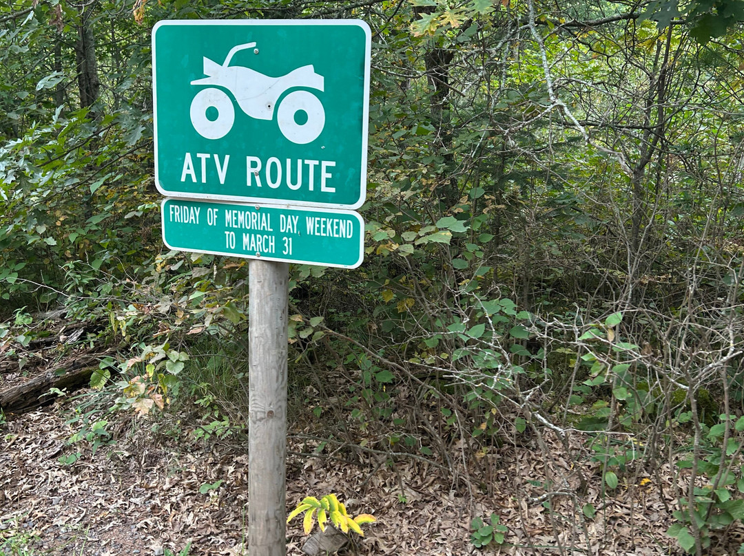 Wild River Trail Inn主图