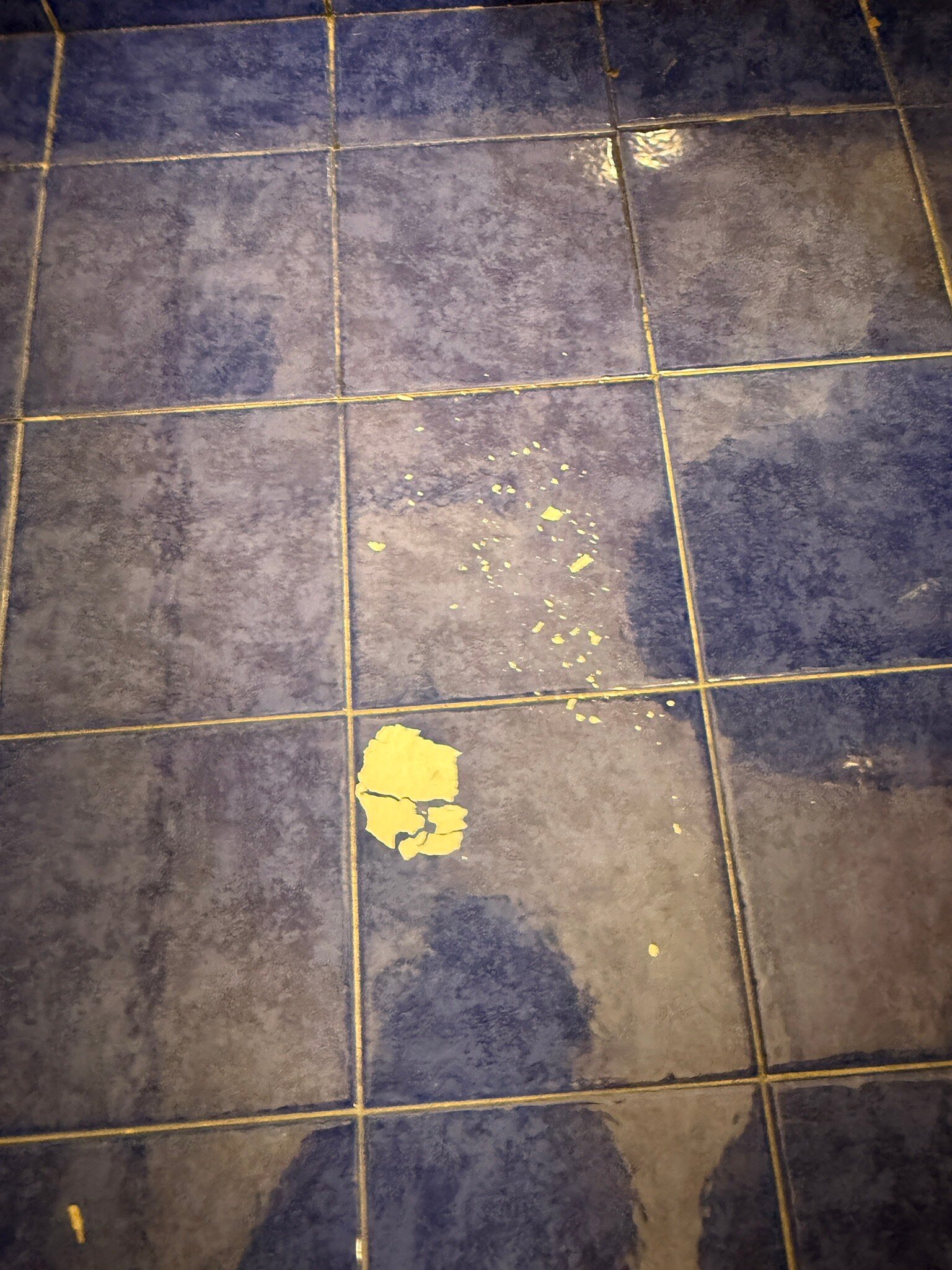 Reginna Palace Hotel-官方