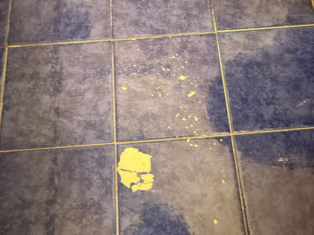 Reginna Palace Hotel主图