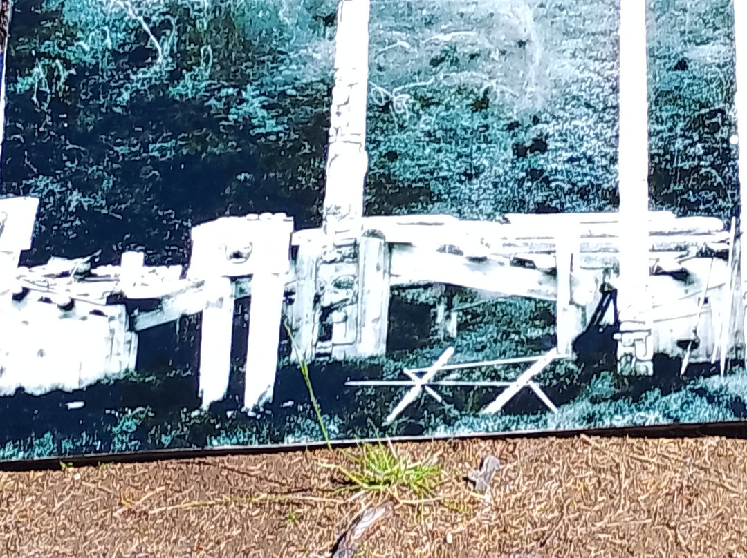 Haida Style Expeditions-Skidegate必去景点