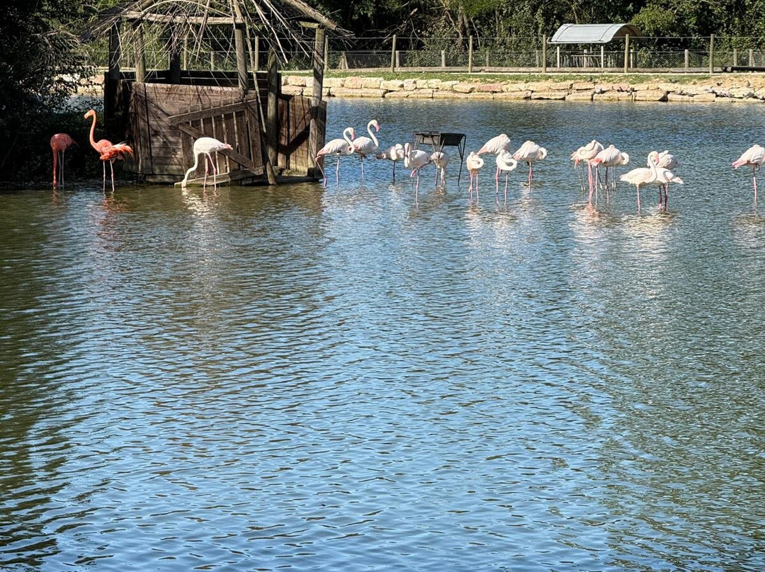 Leo Wild Park-托迪必去景点