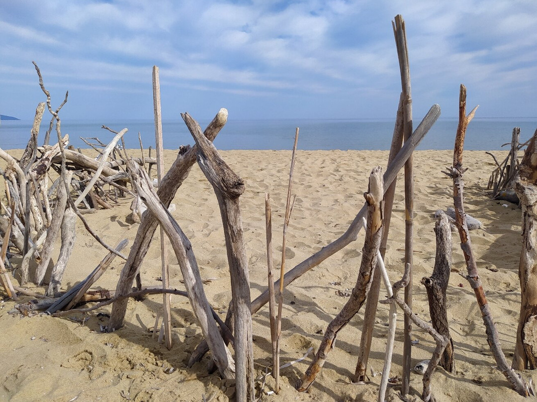 Elia Beach-斯亚索斯必去景点