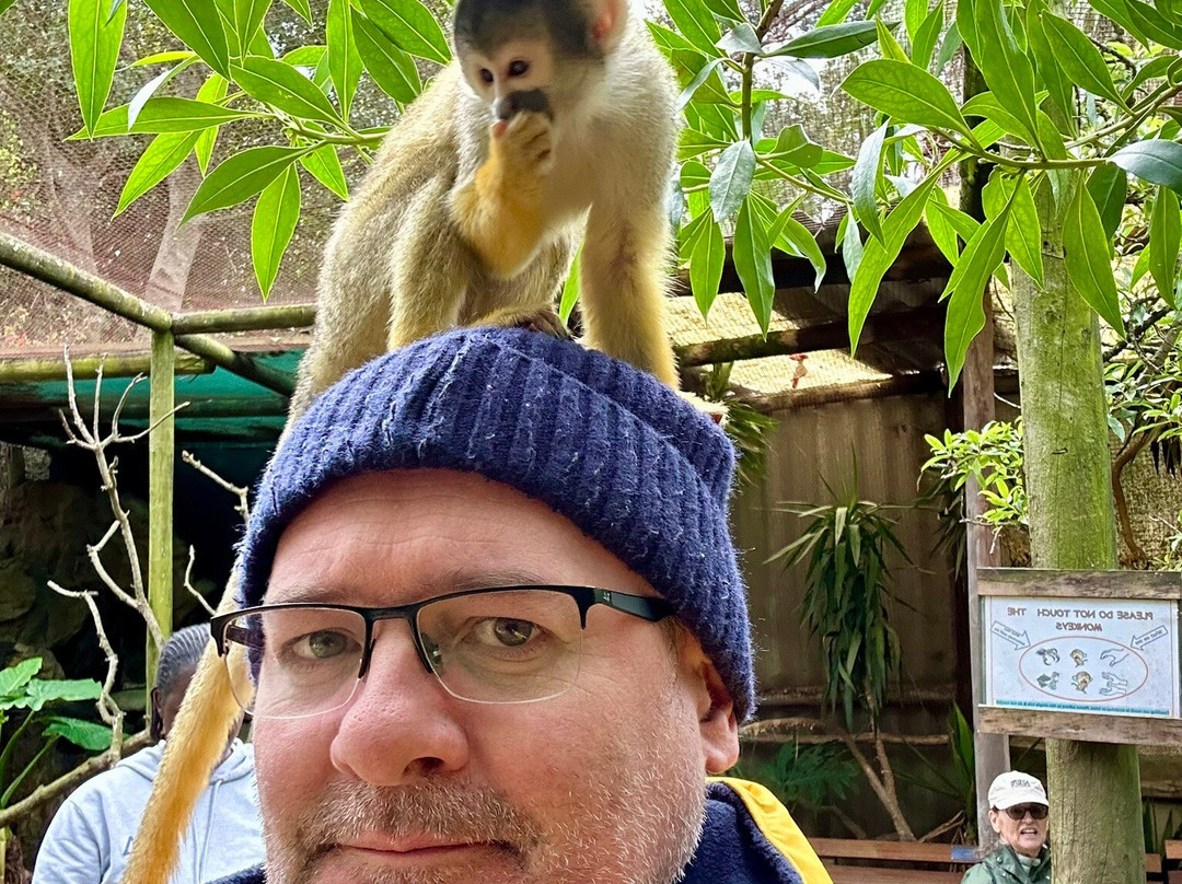 World of Birds-开普敦中心区必去景点