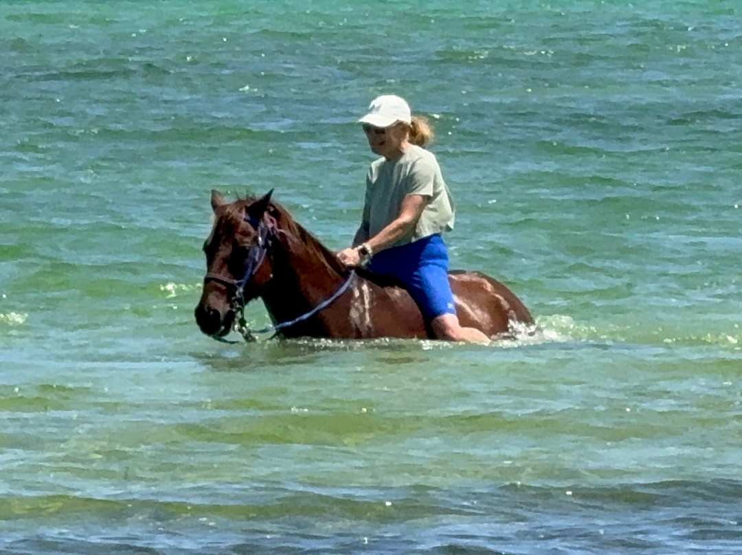 Cayman Horse Riding-西湾必去景点