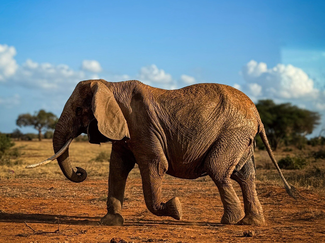 Malik Safari-马林地必去景点