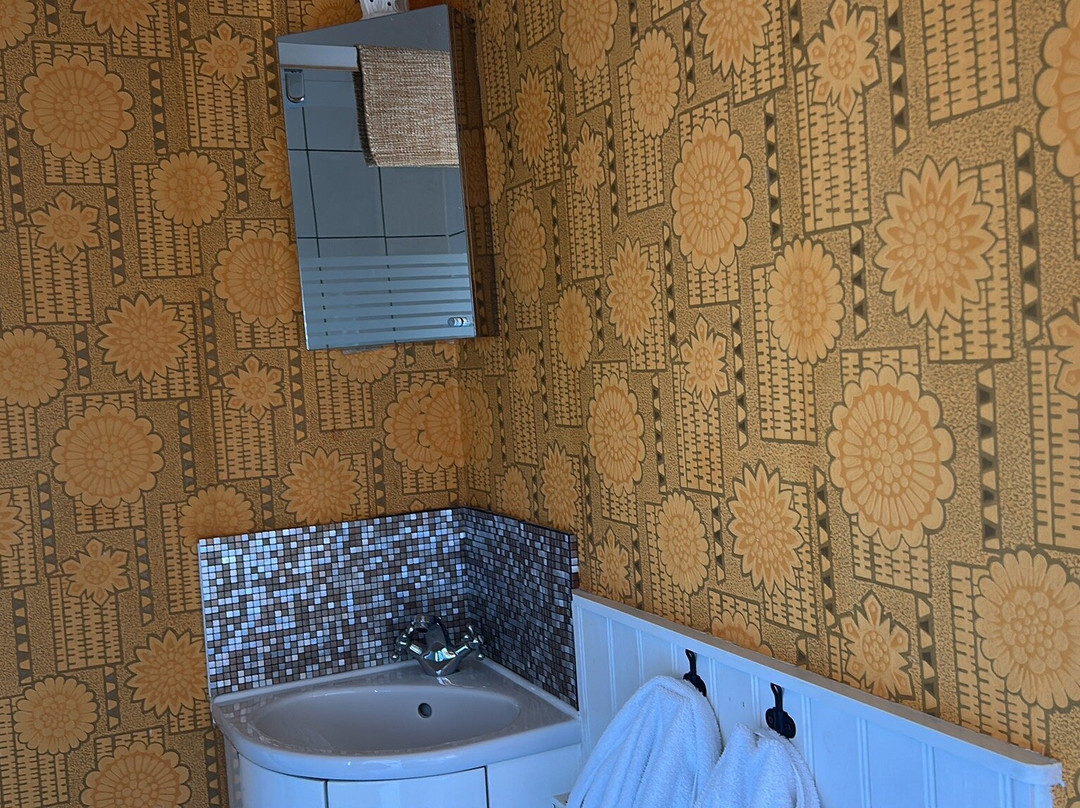 Number 18 Conwy主图