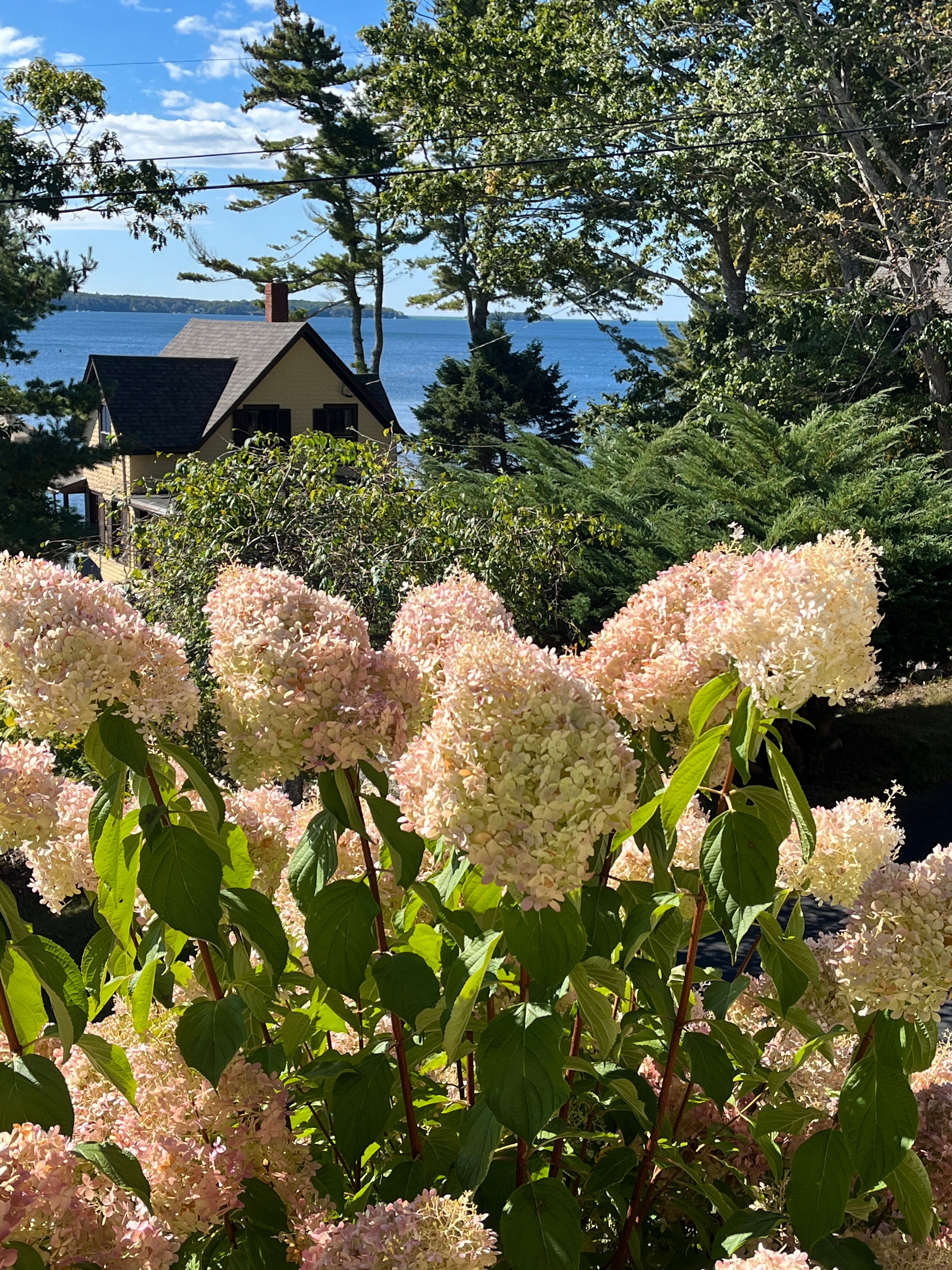 Five Gables Inn-官方