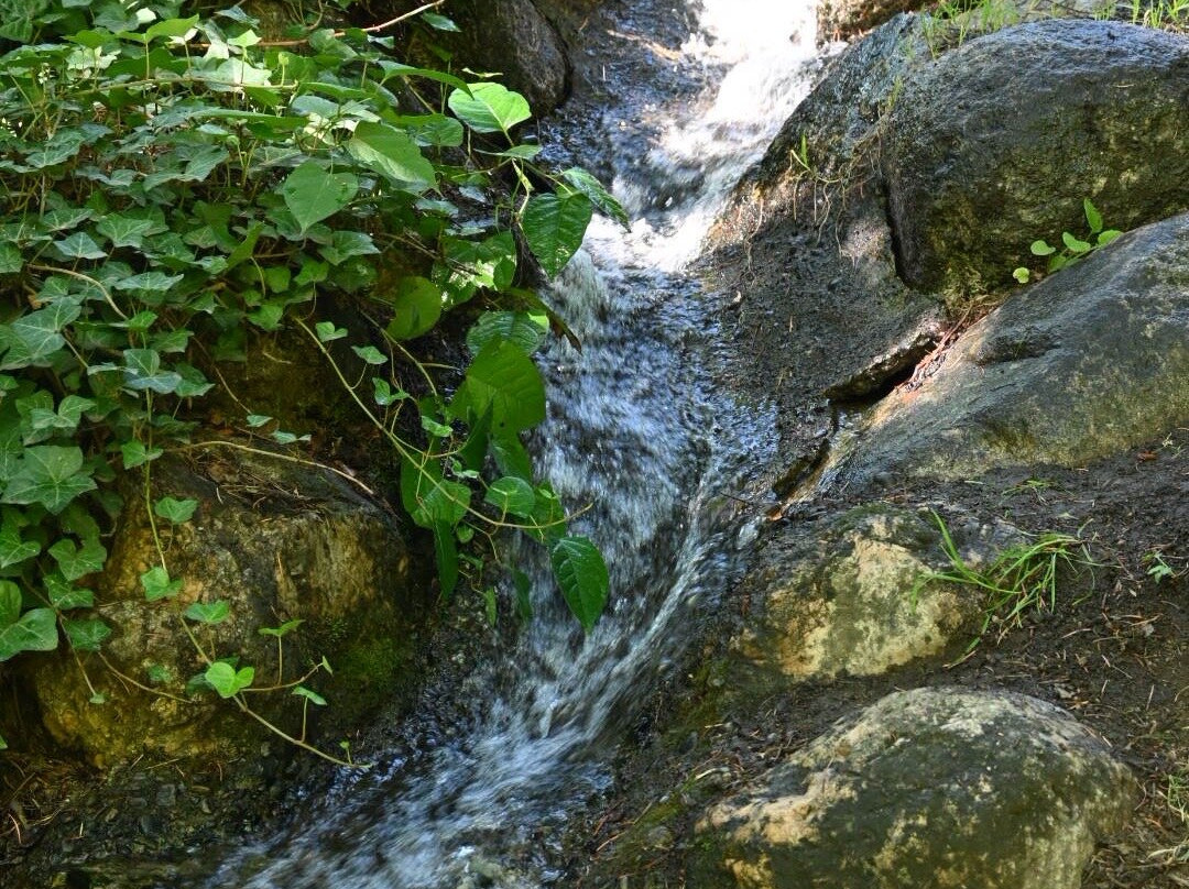 利西亚公园-阿什兰必去景点