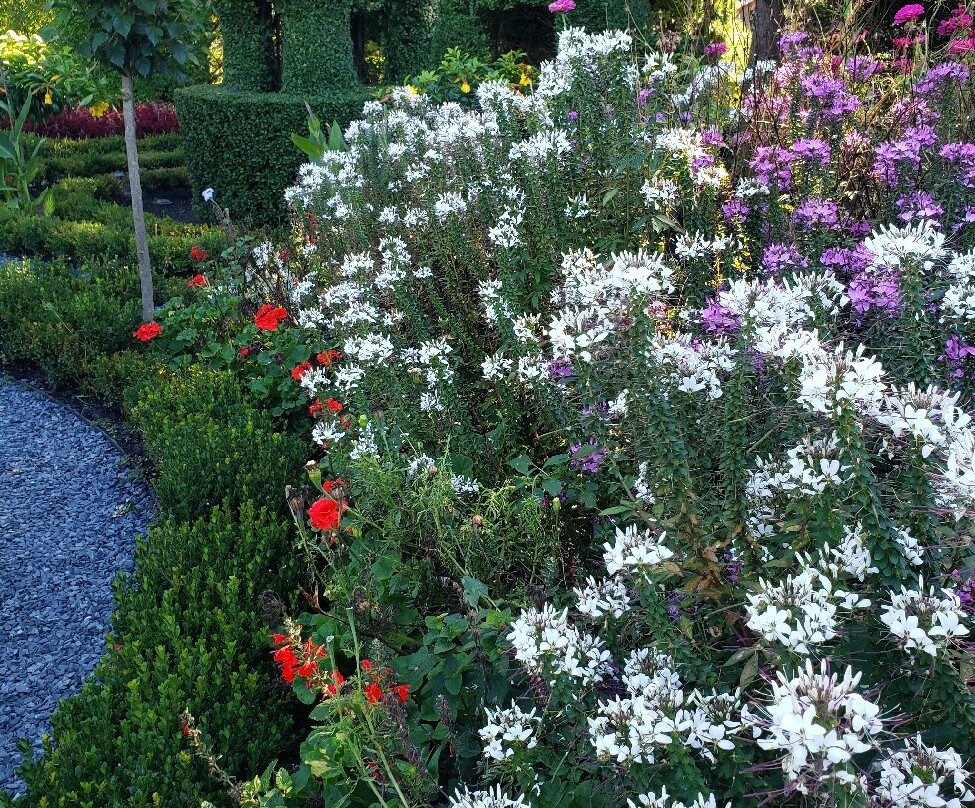 Green Animals Topiary Garden-Portsmouth必去景点