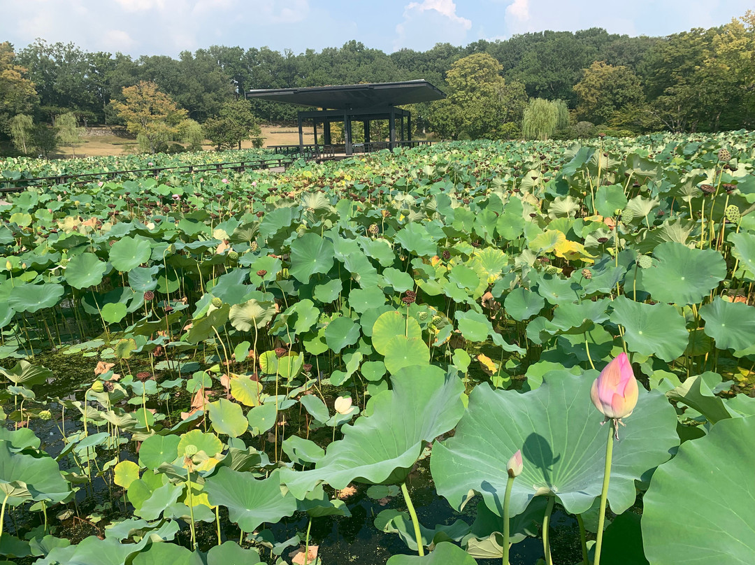Japanese Garden-吹田市必去景点