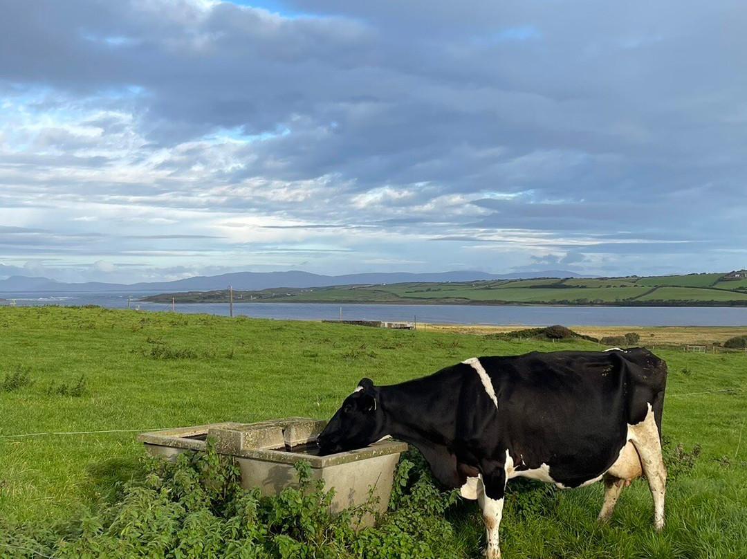 Campview Farm-Ballyshannon必去景点