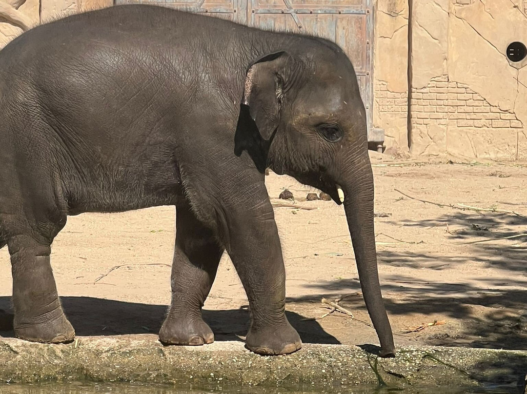 Zoo Leipzig-莱比锡必去景点
