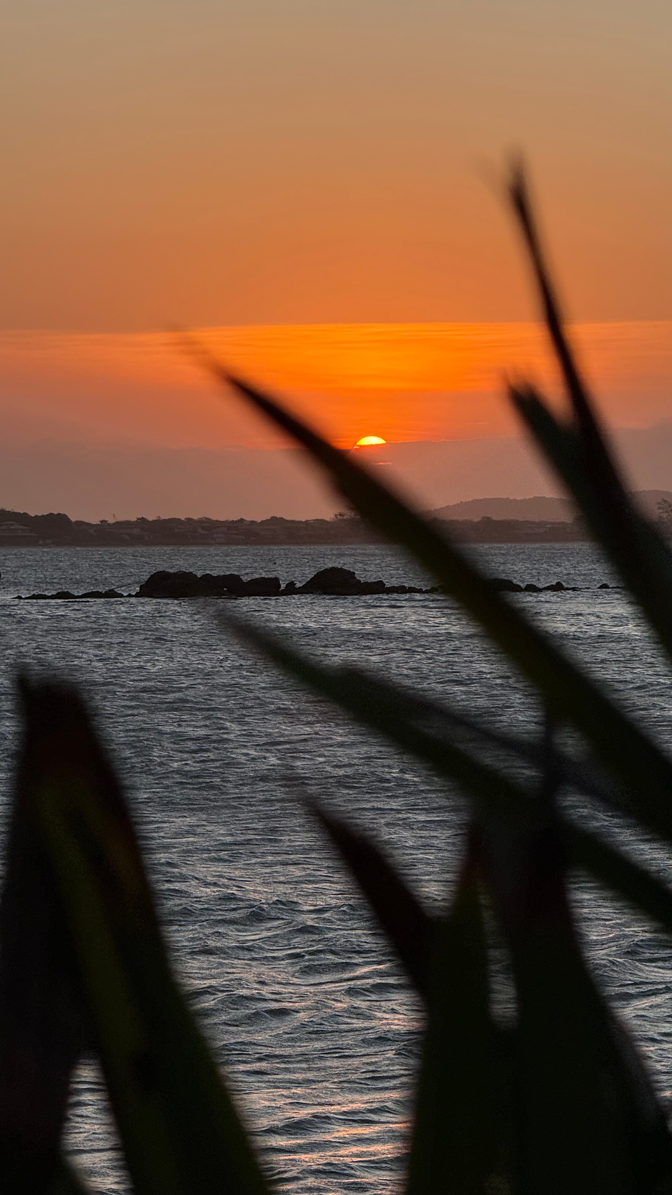 Villa Raphael-泳池