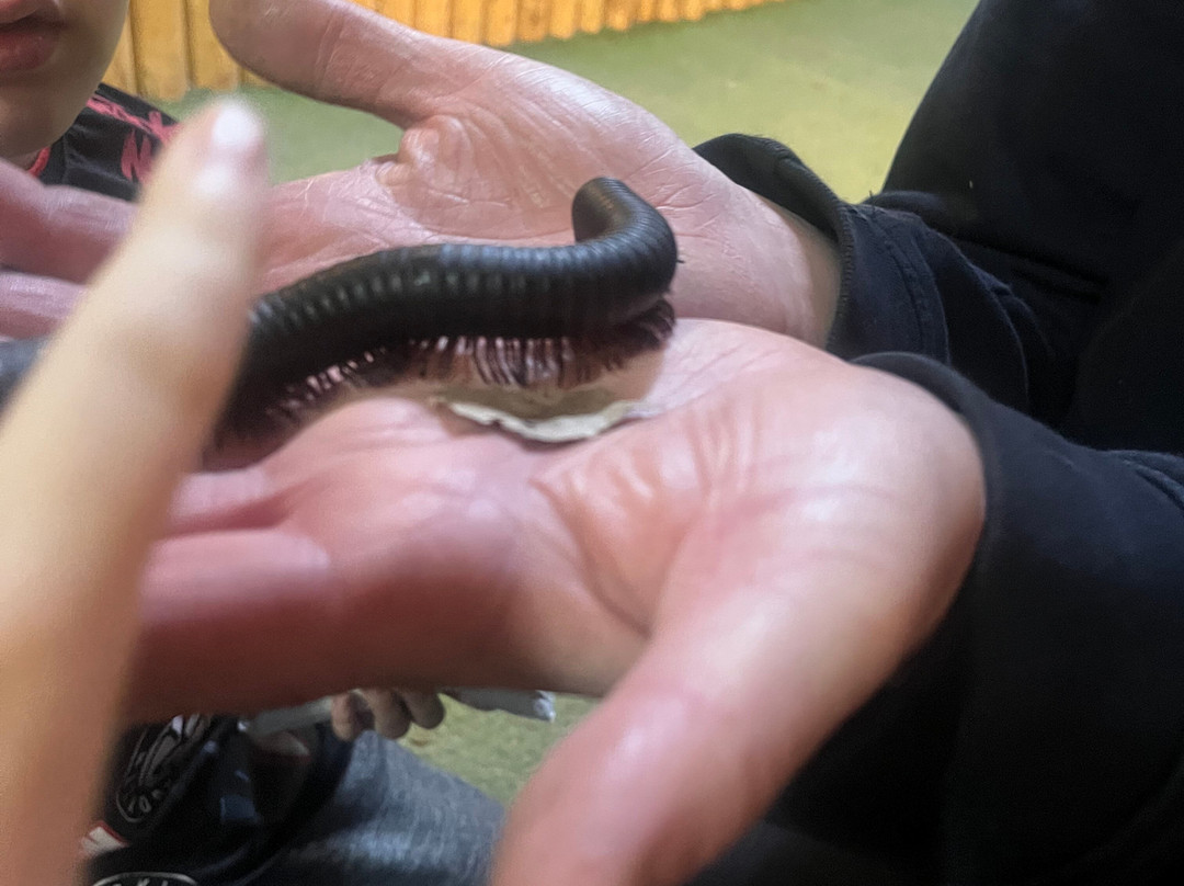 Windmill Animal Farm-Burscough必去景点