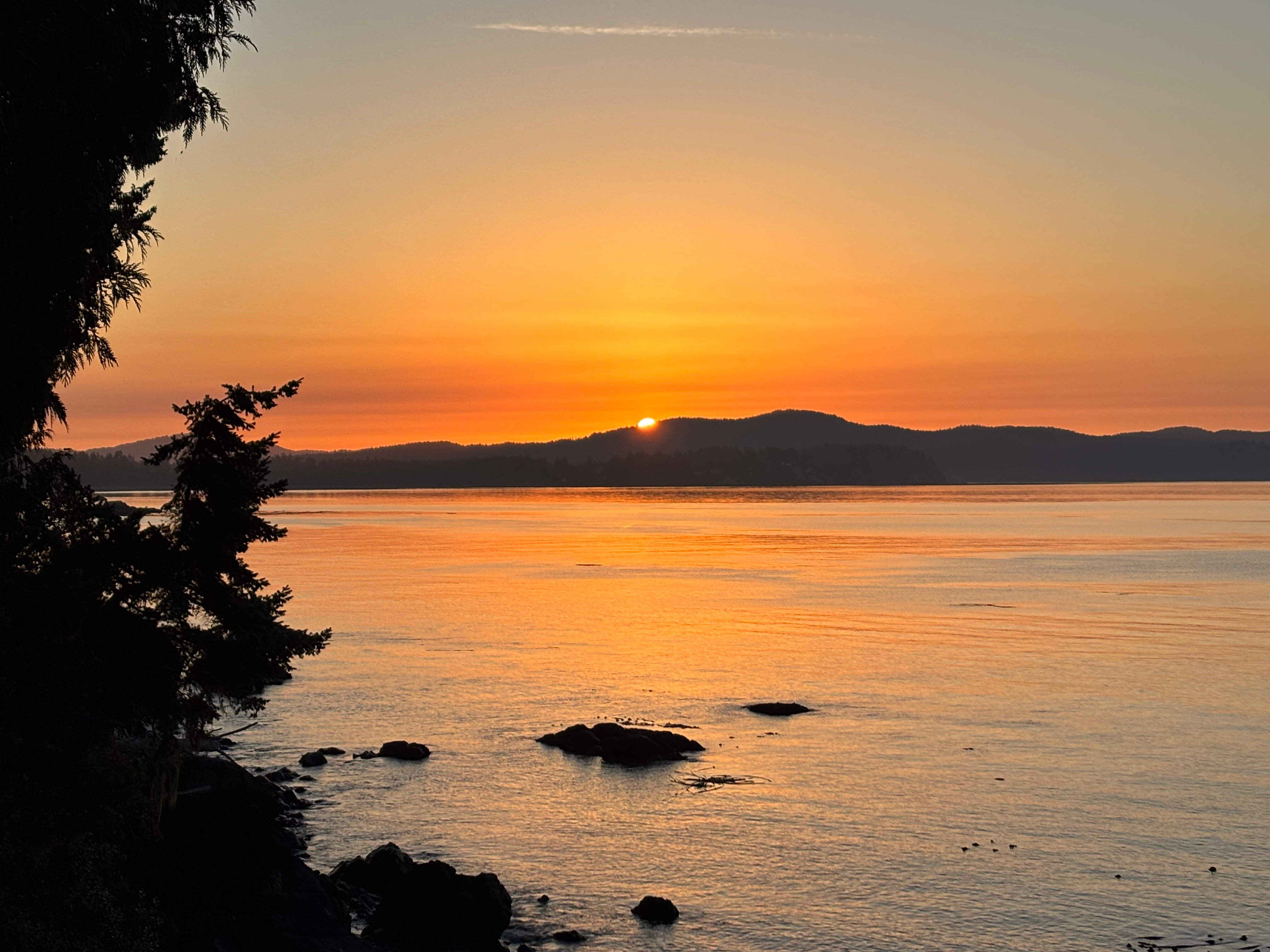 Eagle Cove Beachfront Guest Suites-官方