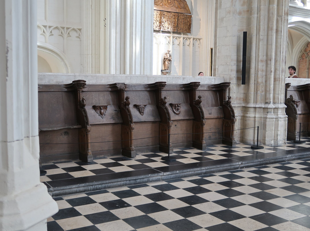 Saint Peter's Church (Sint-Pieterskerk)-鲁汶必去景点