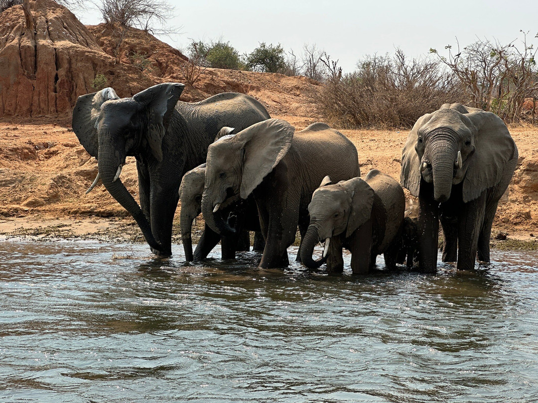 Absolute Zambia Safaris-卢萨卡必去景点