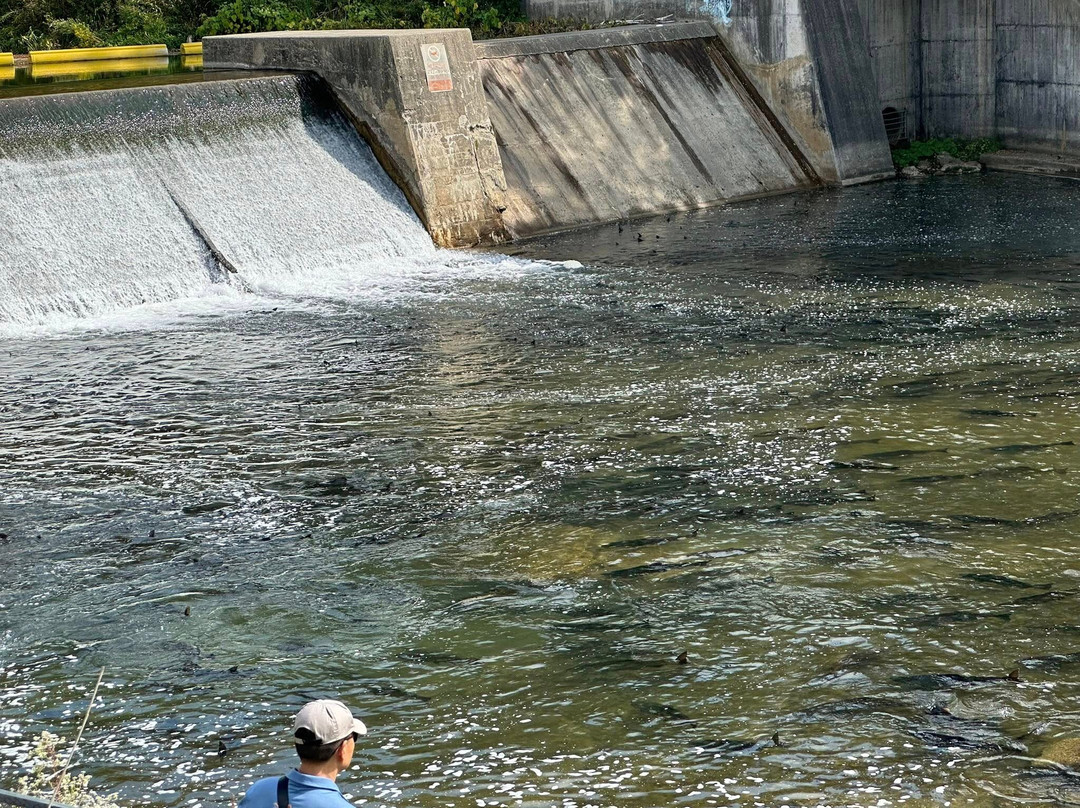 Port Hope Conservation Area-Port Hope必去景点