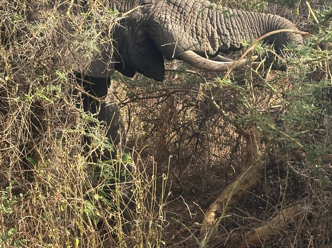 Muhi Tours And Safaris-桑给巴尔岛必去景点