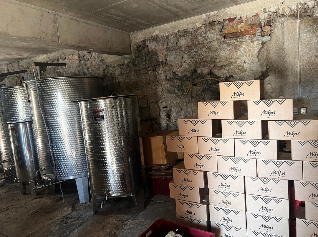 Winery Miljas-Mihanici必去景点