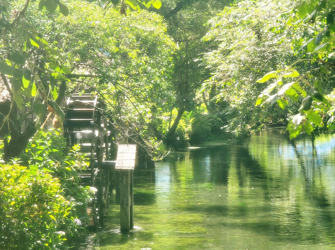 Daio Wasabi Farm-安昙野市必去景点