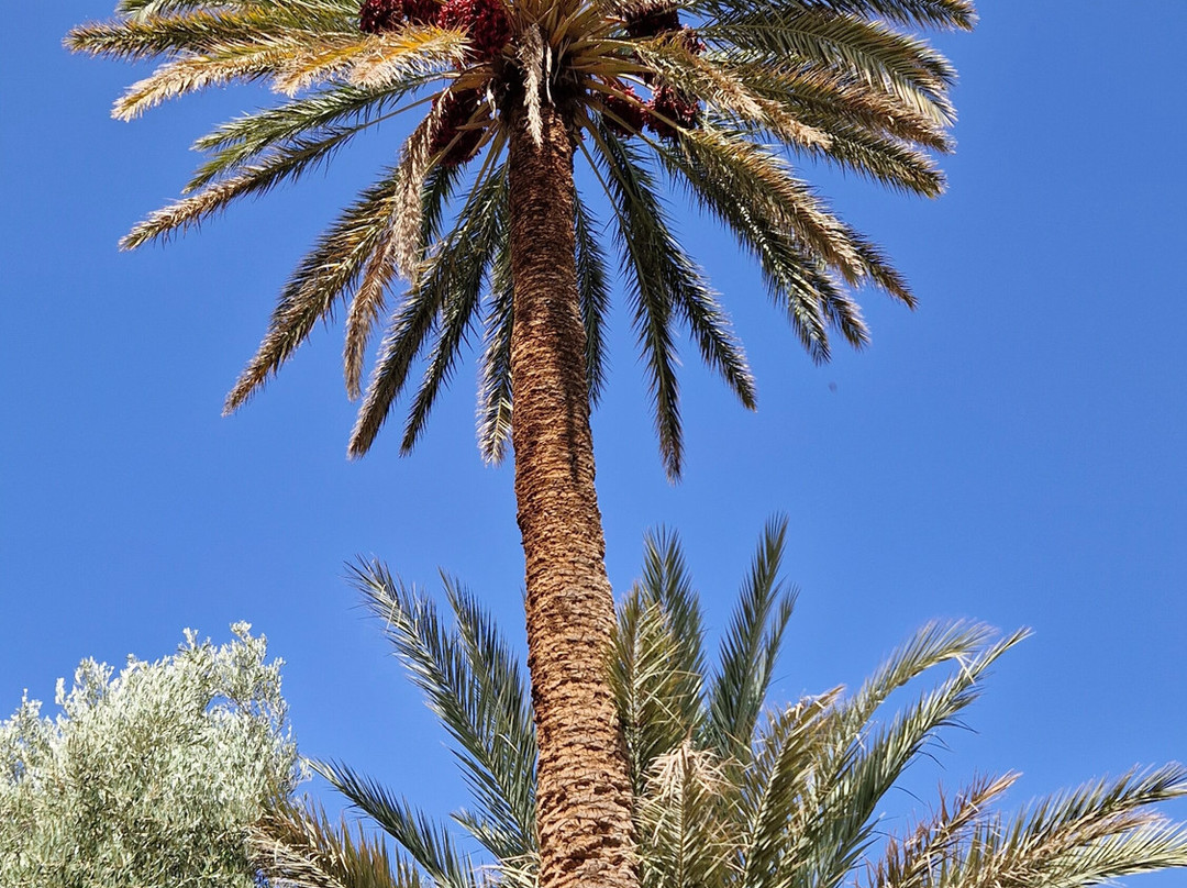 Abdel - Guide Randonnees a Tinghir-廷吉尔必去景点