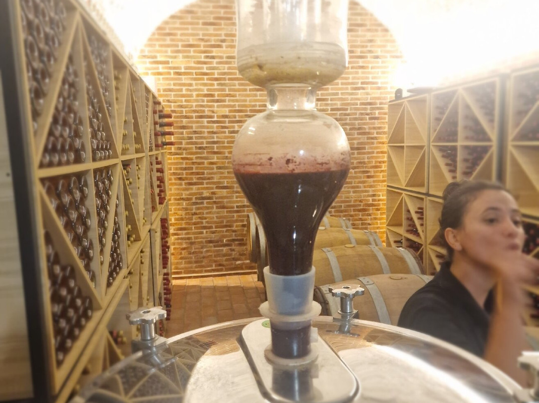 Abaia Winery & Vineyard-杜勒斯必去景点