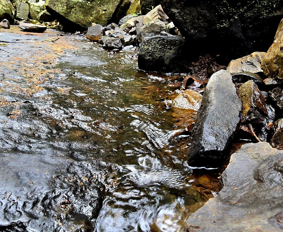 Ringing Rocks County Park-Upper Black Eddy必去景点