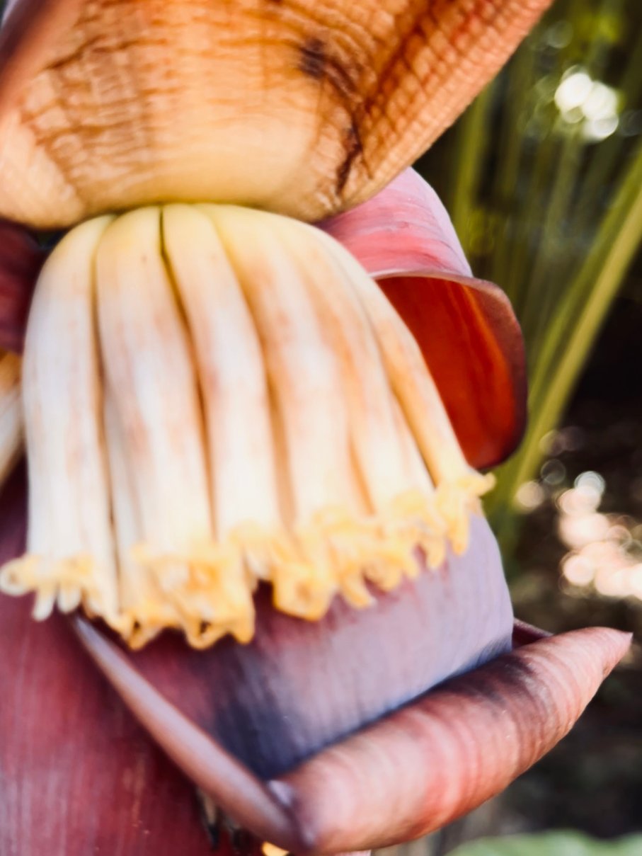 Palmaïa The House of AïA-浴室