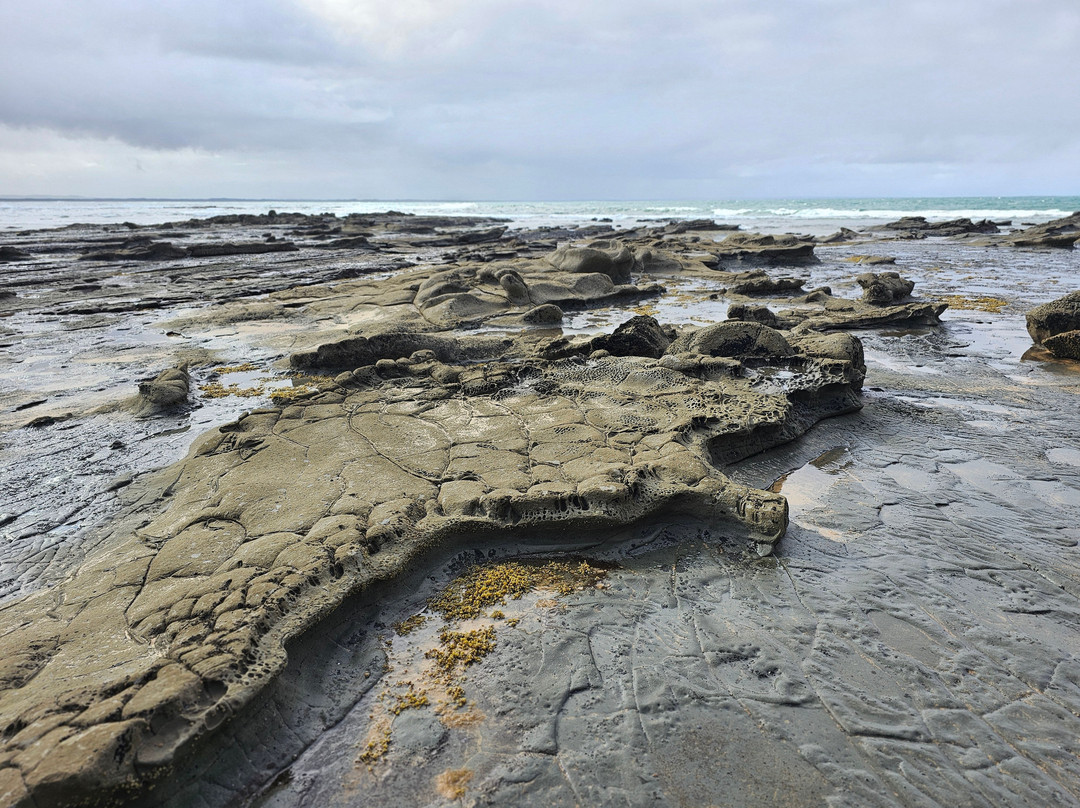 Eagles Nest-Inverloch必去景点