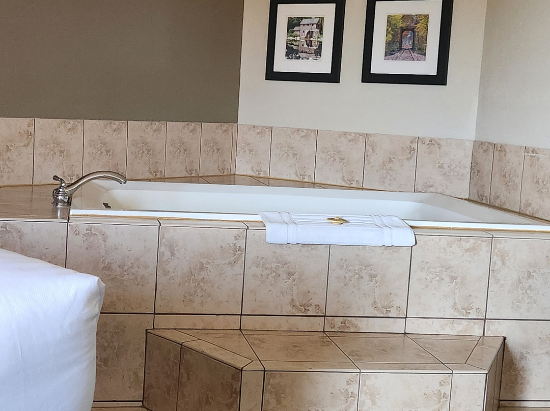 Comfort Inn & Suites主图