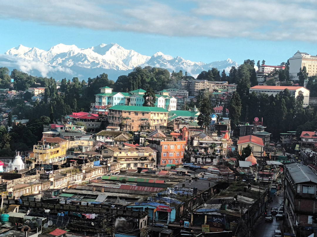 Sumitel Darjeeling主图