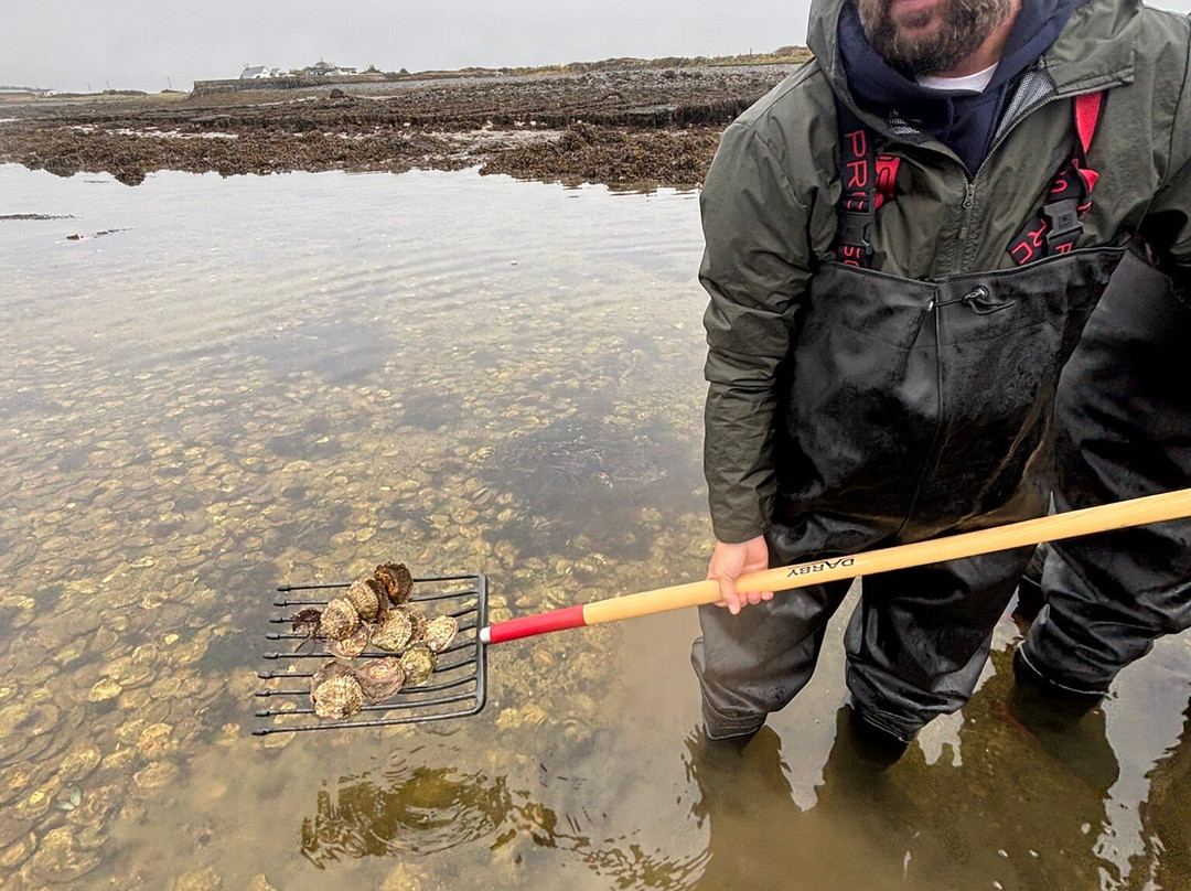 Kelly Oysters-Kilcolgan必去景点